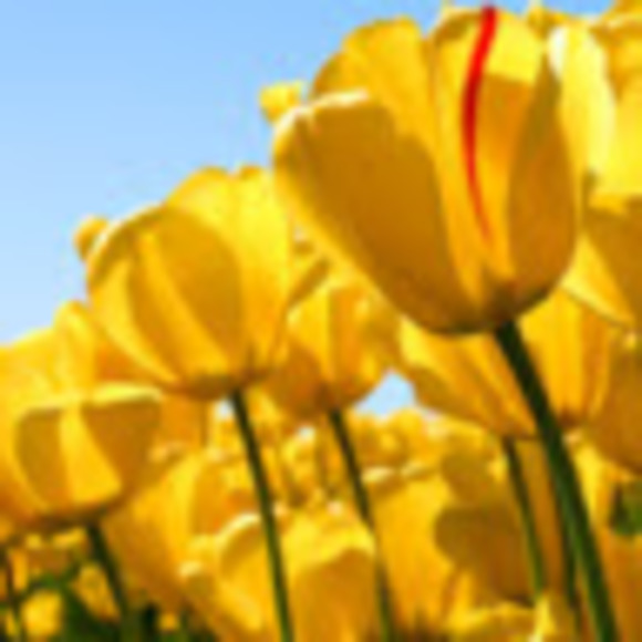 Meet your Posher, Maddi - Picture 1 of 1